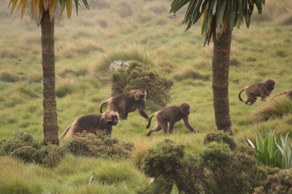 Photo credit: Andreas Schürkmann