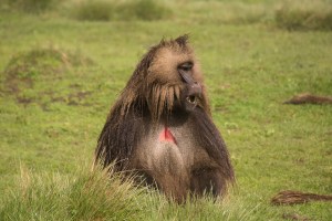 Photo credit: Andreas Schürkmann