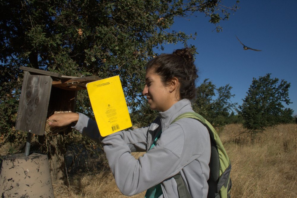 Alli_fieldwork 6-21-2015 9-22-48 AM