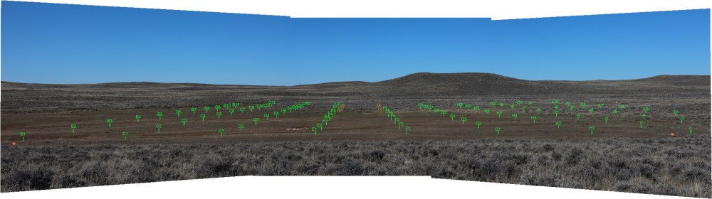 A view of the lek from a hill blind, with the grid highlighted
