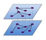 Multiplex networks have multiple layers with the same nodes but different types of connections.