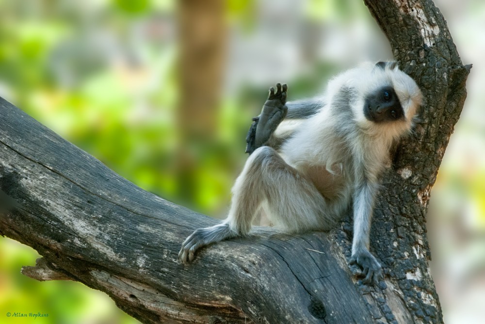 7336711376_78abbb38f4_o