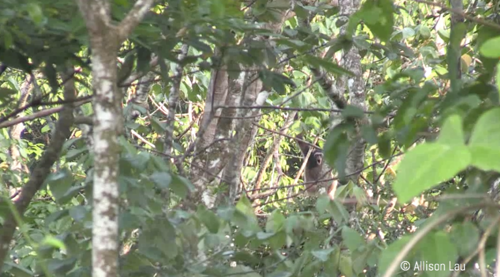 Screen Shot 2017-12-20 at 7.32.27 PM