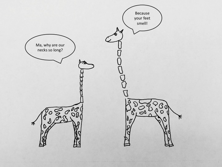 SS_giraffes