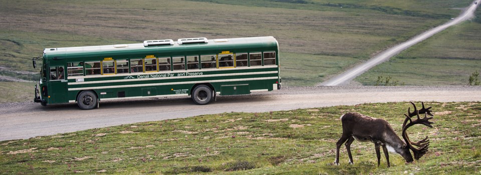 road-ecology-header-960x350