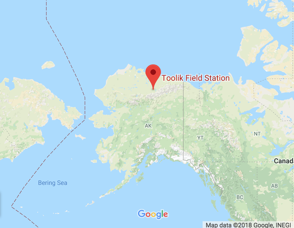 4_map
