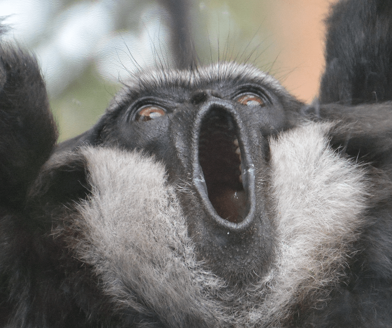 Screen Shot 2018-02-13 at 6.22.08 PM.png