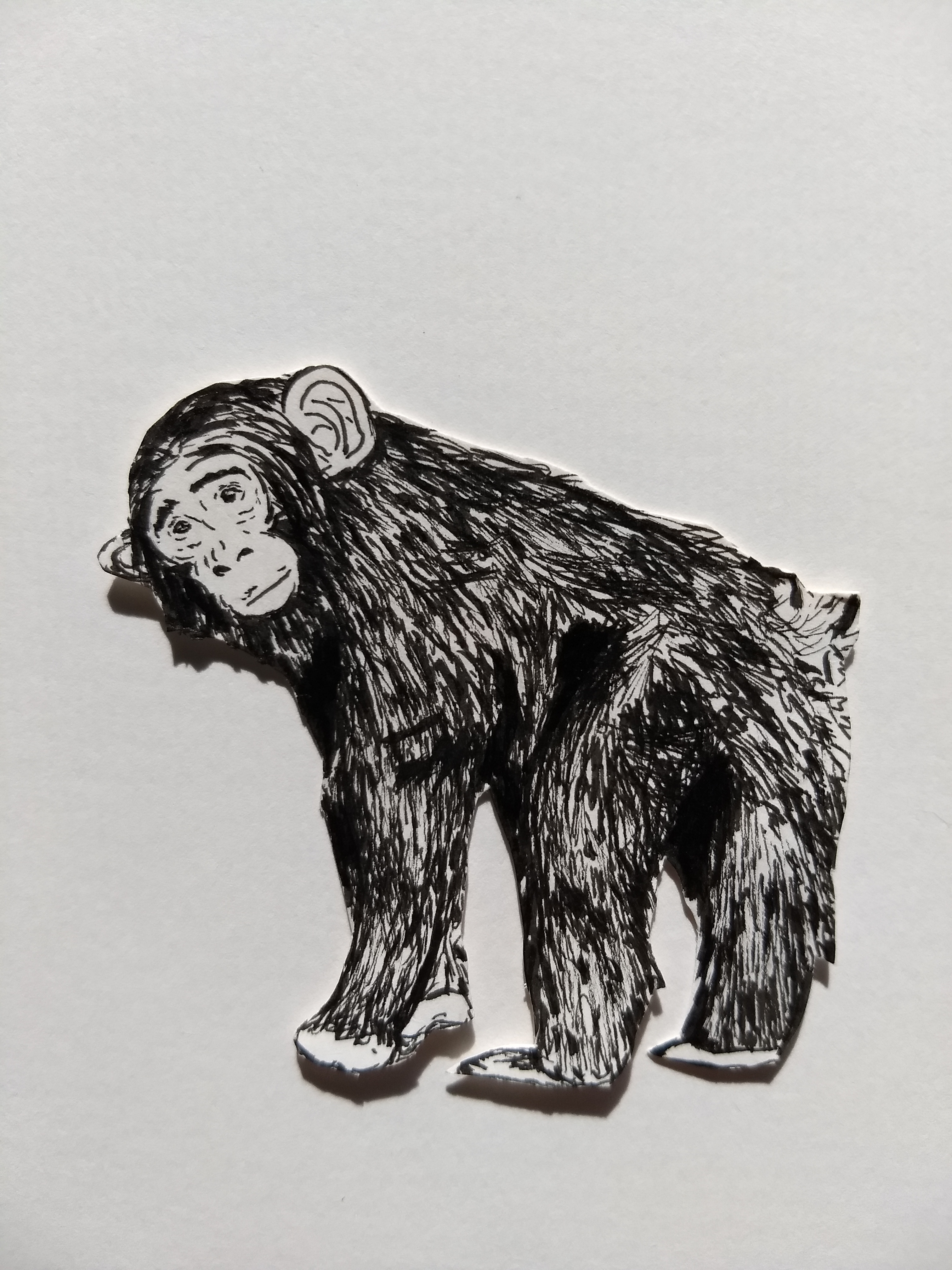 IMG_20180505_173155191