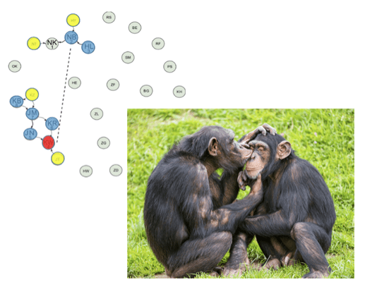 Screen Shot 2018-05-20 at 1.43.08 PM