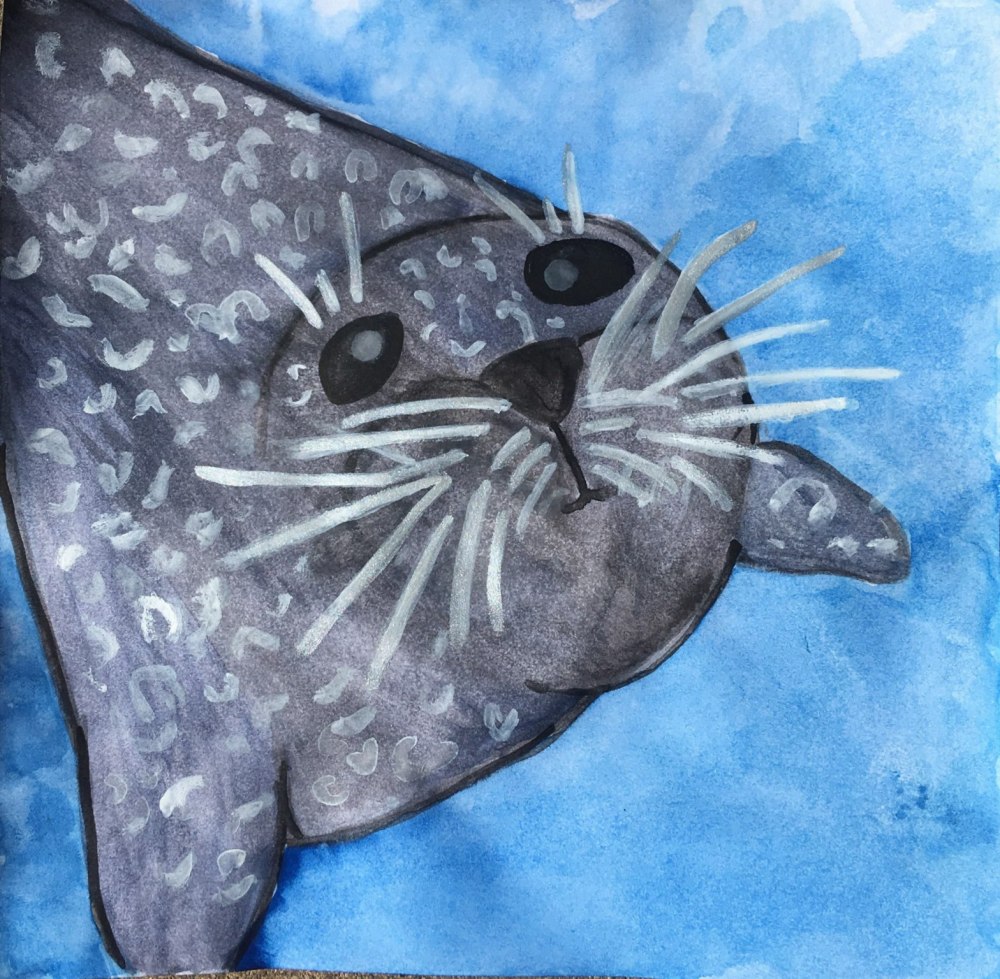 SS-KChudeau HarborSeal