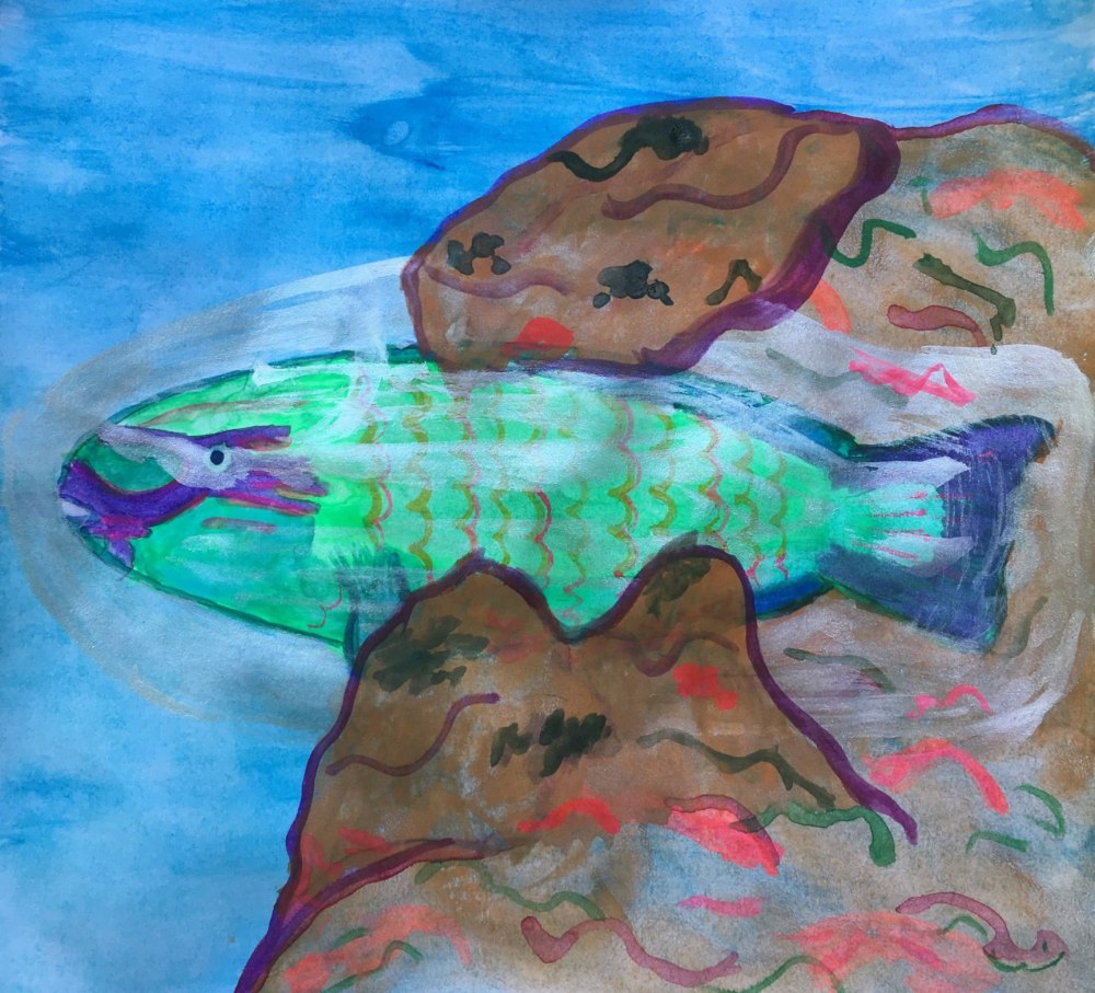 SS-KChudeau Parrotfish