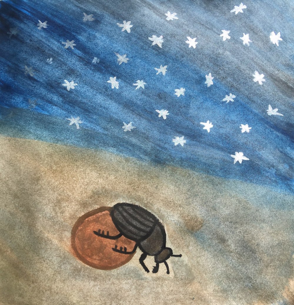 SS-KChudeau DungBeetle