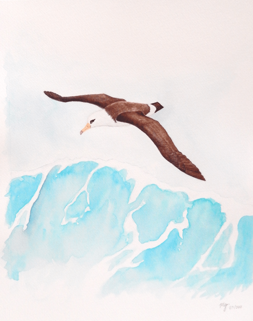 SS-MMcElligott Albatross.png