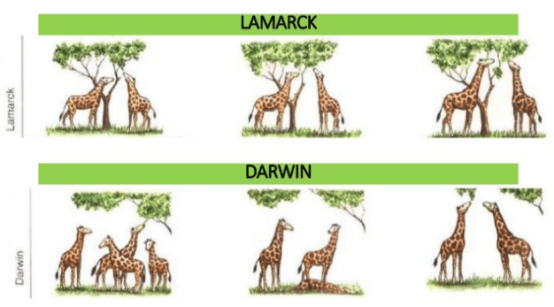 Screen Shot 2018-09-29 at 5.22.21 PM