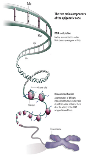 Screen Shot 2018-09-29 at 5.26.45 PM