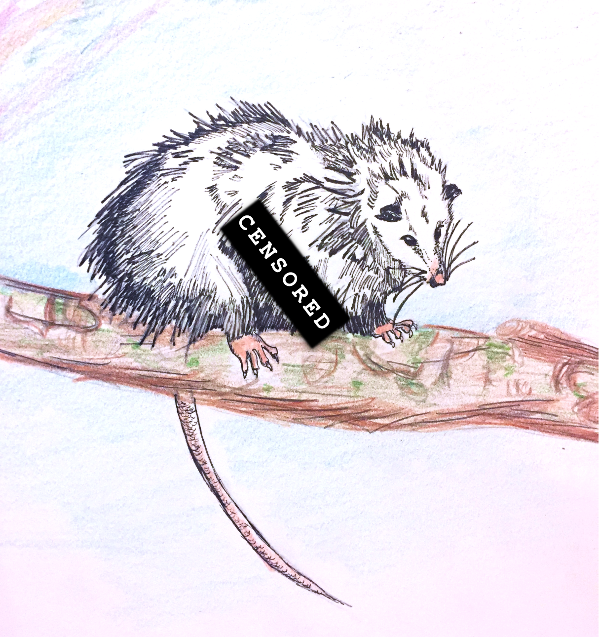 Screen Shot 2018-10-11 at 12.27.04 PM