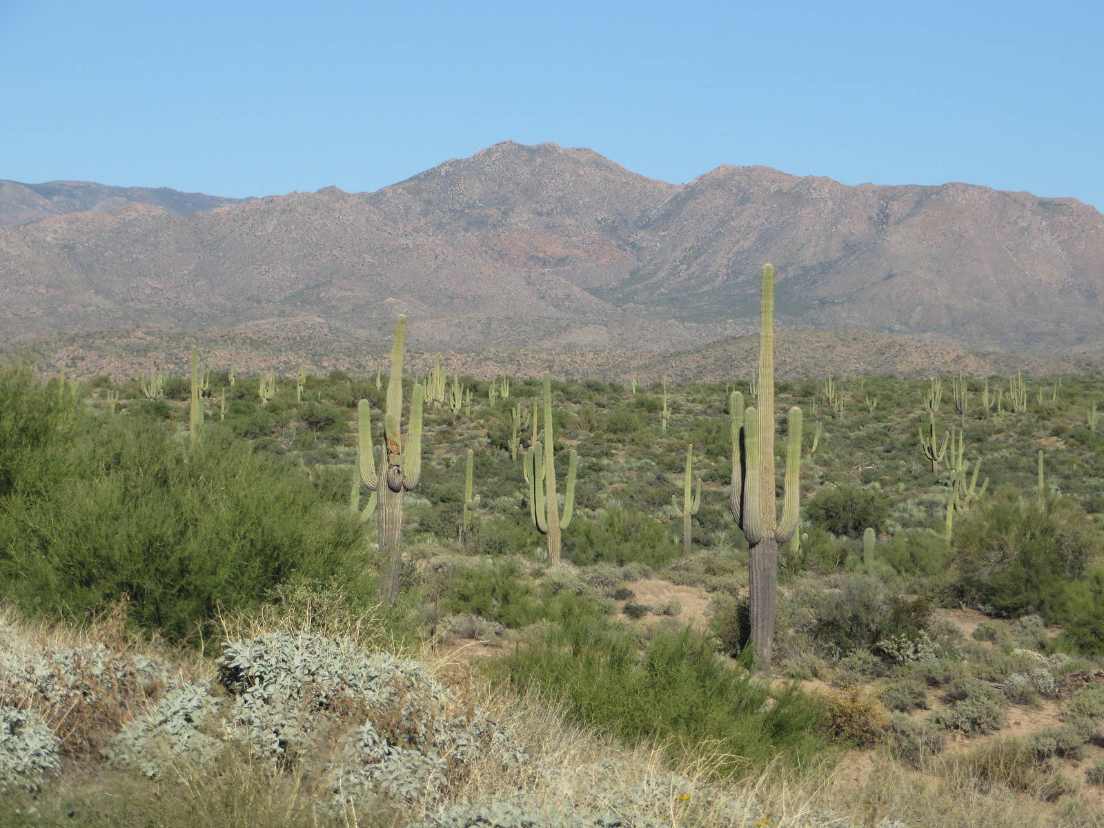 15598113606_451b3fee21_h