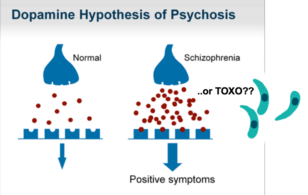 Screen Shot 2019-05-05 at 8.49.17 PM