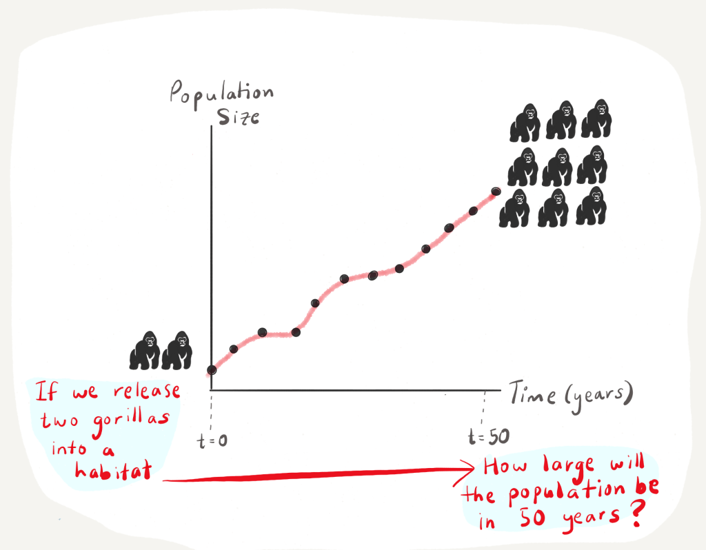 A drawing of a graph with population size on the y axis and time in years on the x axis. At time t = 0, if we release two gorillas into a habitat, how large will the population be in 50 years? tiny icons of gorillas and an increasing trend line on the plot. 