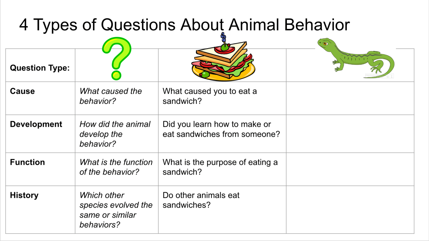 Lesson Plan: Asking Questions About Animal Behavior