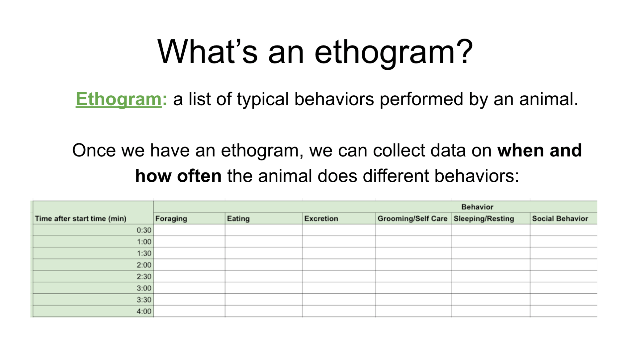 Lesson Plan: Building an Ethogram