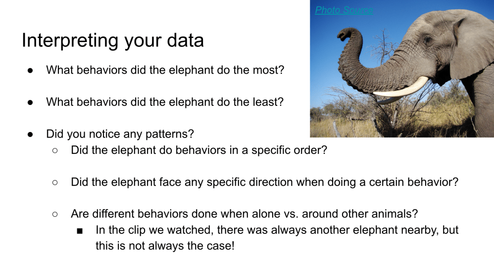 Lesson Plan: Building an Ethogram