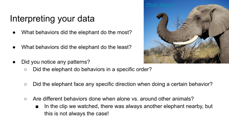 Lesson Plan: Building an Ethogram