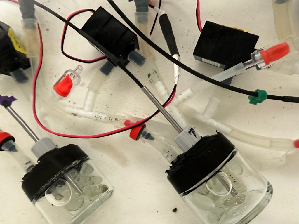 Small glass jars are shown filled with water. Their lids have been modified to have tubing plumbed through, which pumps in and out water as needed. Also inserted through the modified lids is a metal probe, which measures the oxygen in the water.