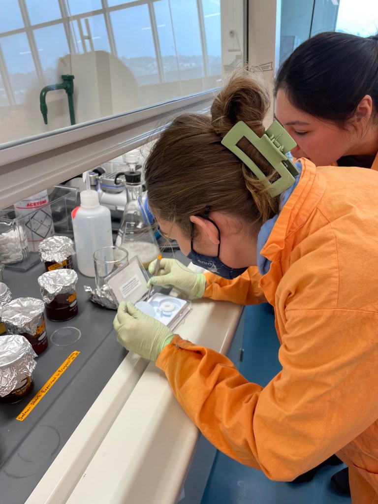 Two researchers in personal protective equipment lean over a lab bench to prepare vacuum filtration equipment for use. One holds a case containing a thin filter. The bench contains several labeled beakers, each filled with dark liquid and tissue.