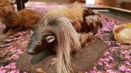 Creature Feature Haggis Creature Feature Haggis