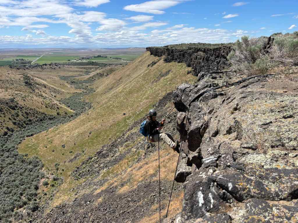 A photo of a researcher rappelling down a rocky cliff on the side of a canyon, with the wide expansive landscape in the background. The researcher is wearing a helmet and a backpack and is attached to a rope via a harness and a belay device. Behind the researcher are steep slopes going down to the base of the canyon, covered in green vegetation. Above is a blue sky dotted with clouds.