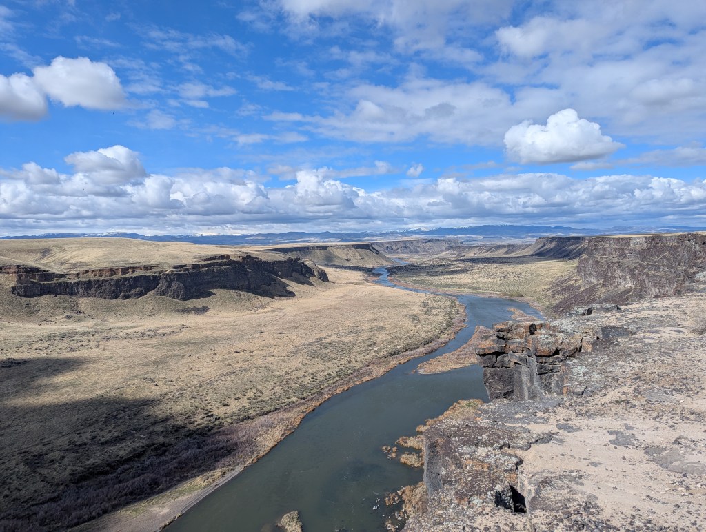 A wide landscape photo of the Snake River running through a canyon, with scrubby vegetation on the riverbanks and rocky cliffs rising up on either side of the river. The sky above is blue and dotted with white clouds. In the far distance, snow-capped peaks of the Owyhee Mountains are visible.